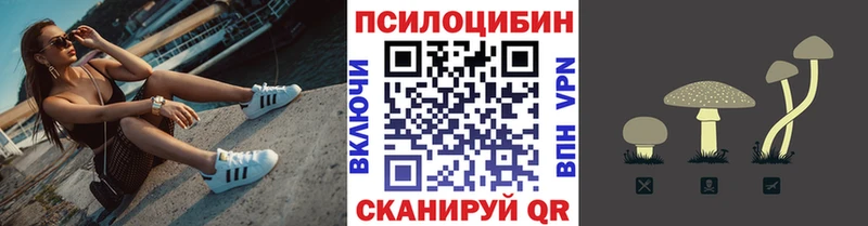 Купить где  Щёлково  Псилоцибиновые грибы MAGIC MUSHROOMS 